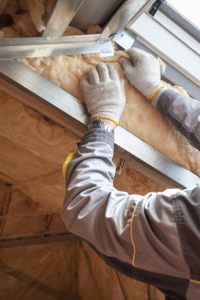 Best Insulation Maintenance and Repair in Wentzville, MO