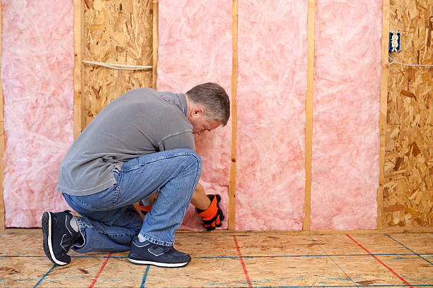 Best Residential Insulation in Wentzville, MO