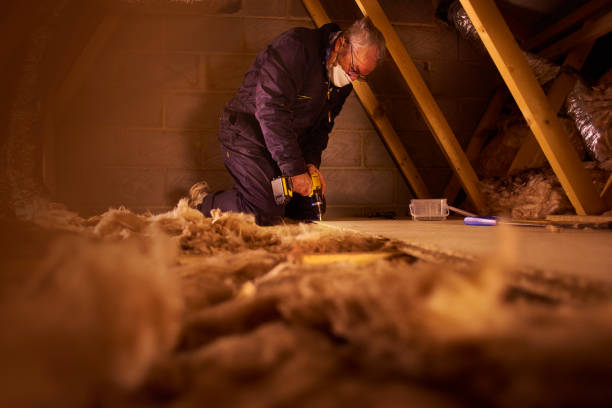 Best Commercial Insulation in Wentzville, MO